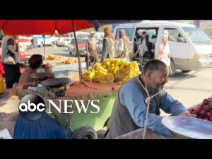 Read more about the article Warning signs that Afghanistan is in economic free fall after Taliban takeover