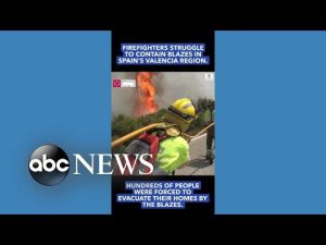 Read more about the article Firefighters battle raging wildfires in Spain