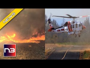 Read more about the article WATCH: INSANE “Fire Devil” Rip through Los Angeles
