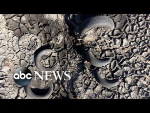 Read more about the article Drought, Ukraine art, Kenya election results: World in Photos, Aug. 15