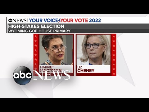 You are currently viewing Wyoming Republican Rep. Liz Cheney’s fate is in the hands of voters