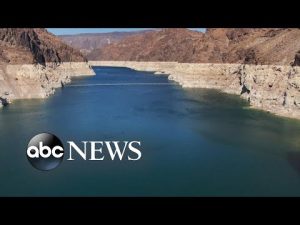 Read more about the article Arizona, Nevada face water cuts due to drought affecting Colorado River Basin | WNT