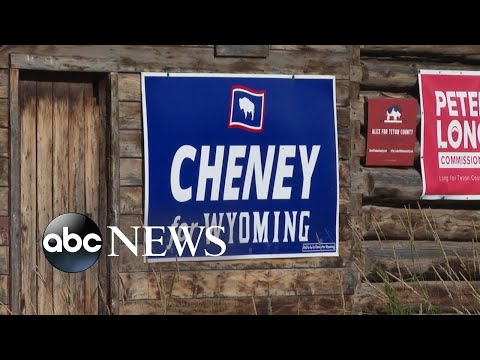 You are currently viewing Voters head to the polls in Alaska, Wyoming | WNT