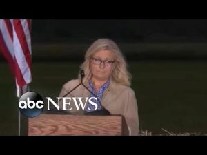 Read more about the article Liz Cheney projected to lose primary to Harriet Hageman