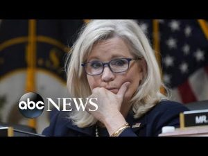 Read more about the article Liz Cheney faces her political fate against Trump backed foe | NTL