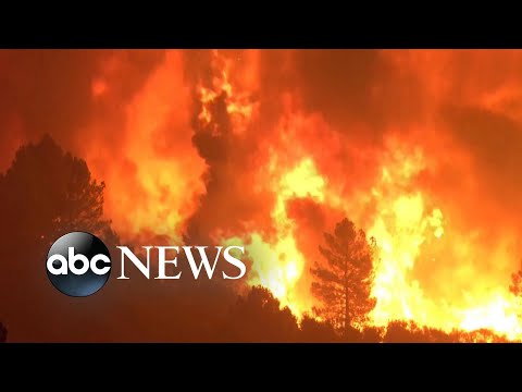 You are currently viewing Forest fires reach record levels across globe l ABC News