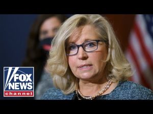 Read more about the article This shows how out of touch Liz Cheney is: Duffy