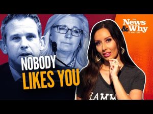 Read more about the article RINOS, GO HOME! Liz Cheney Voted OUT of Congress | The News & Why It Matters | 8/17/2022