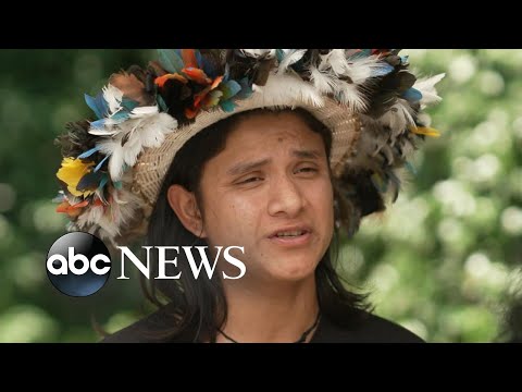 You are currently viewing ‘The Territory’ profiles indigenous group’s fight to protect rain forest