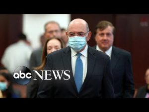 Read more about the article Trump executive takes plea on 15 felonies