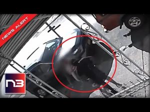 Read more about the article THIS VIDEO Shows What Is Wrong With Liberal Hell Holes In Broad Daylight