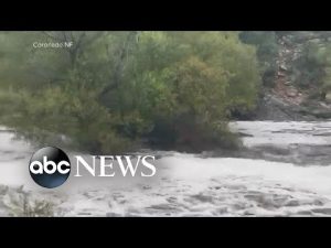 Read more about the article Flood alerts continue for millions of Americans