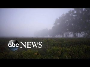 Read more about the article Coffee may soon cost more
