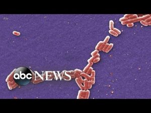 Read more about the article Wendy’s serves burgers without lettuce amid E. coli outbreak | ABCNL