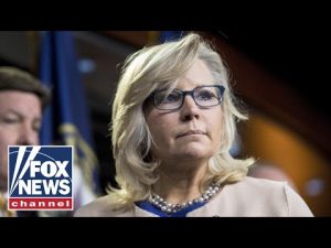 Read more about the article Liz Cheney thinks she’s ‘moral judge’ of Republicans: Gingrich