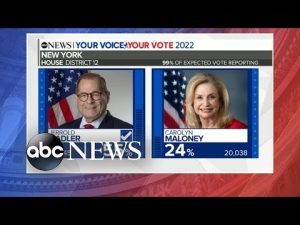 Read more about the article Results from the New York special election and the Florida Democratic primary