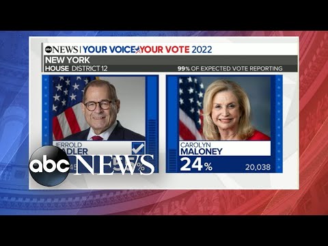 You are currently viewing Results from the New York special election and the Florida Democratic primary