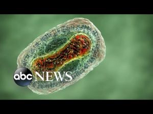 Read more about the article 3 children in Georgia test positive for monkeypox