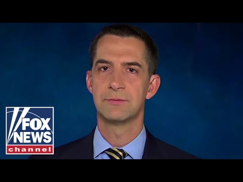 You are currently viewing Tom Cotton: ‘This will hurt so many Americans’