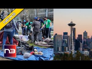 Read more about the article DAMAGE DONE: After Years Of DESTRUCTION Liberal City Finally Moves To WIPE Them All Out