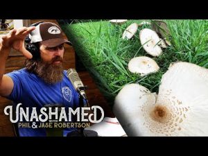 Read more about the article Jase Finds Louisiana Mushrooms & Phil Measures Endurance Against Belief | Ep 537