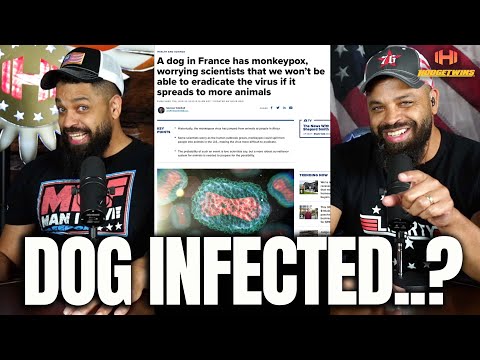 You are currently viewing Gay Men Infect Their Dog With Monkeypox