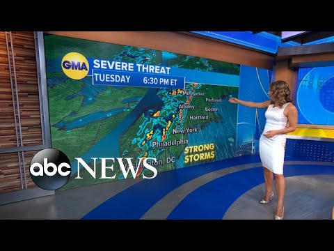 You are currently viewing Severe storm alert