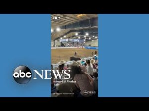 Read more about the article Bull escapes pen during rodeo