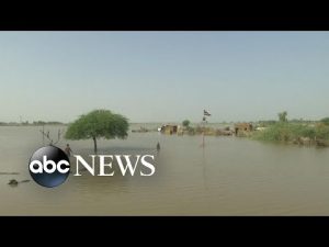Read more about the article Over 1,000 dead due to catastrophic flooding in Pakistan