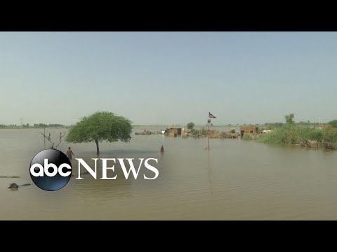 You are currently viewing Over 1,000 dead due to catastrophic flooding in Pakistan