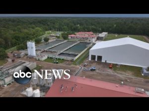 Read more about the article Water crisis unfolds in Mississippi l WNT