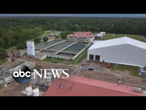 You are currently viewing Water crisis unfolds in Mississippi l WNT
