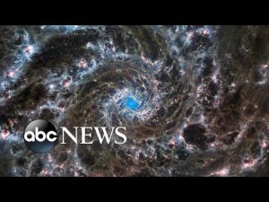 Read more about the article A Phantom galaxy, deadly algae, and the tomato festival: World in Photos, Aug. 31