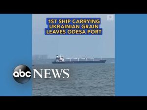 Read more about the article 1st ship carrying Ukrainian grain leaves Odesa port