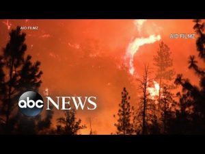 Read more about the article McKinney Fire becomes California’s largest wildfire this year l GMA