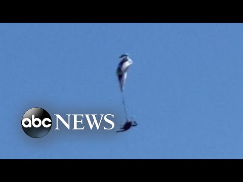 You are currently viewing Caught on camera: paraglider narrowly escapes disaster