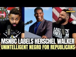 Read more about the article MSNBC Labels Herschel Walker Unintelligent Negro For Republicans