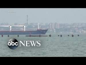 Read more about the article 1st cargo ship carrying Ukrainian corn leaves Odesa