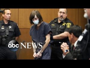 Read more about the article Highland Park shooting suspect pleads not guilty