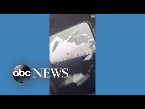 You are currently viewing Friends huddle for safety as hail smashes car windows