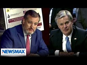 Read more about the article WATCH: Ted Cruz grills FBI Director Christopher Wray about investigating speech