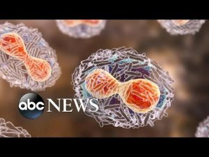 Read more about the article Monkeypox cases rise to more than 6,000 infections across US