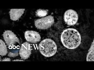 Read more about the article Biden administration declares monkeypox a public health emergency