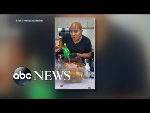Read more about the article Tik Talk: The tipsy bartender’s top drink tips | ABCNL
