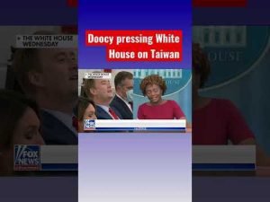 Read more about the article Peter Doocy spars with Karine Jean-Pierre over Pelosi trip #shorts