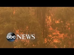 Read more about the article California fire explodes to more than 55,000 acres