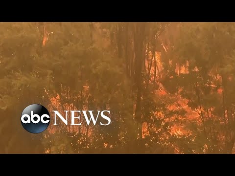 You are currently viewing California fire explodes to more than 55,000 acres