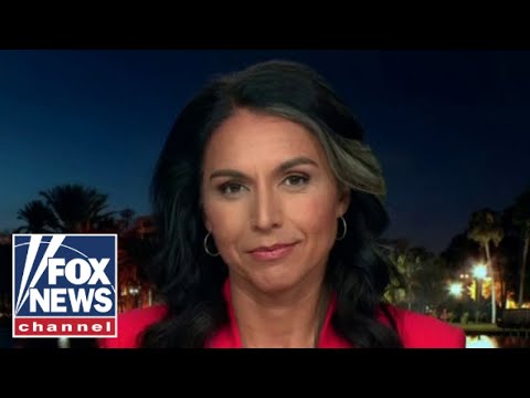 You are currently viewing Tulsi calls out Kamala on cannabis hypocrisy