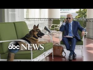 Read more about the article Biden tests positive for COVID-19 for 2nd consecutive day