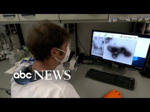 Read more about the article Adult at Illinois day care tests positive for monkeypox